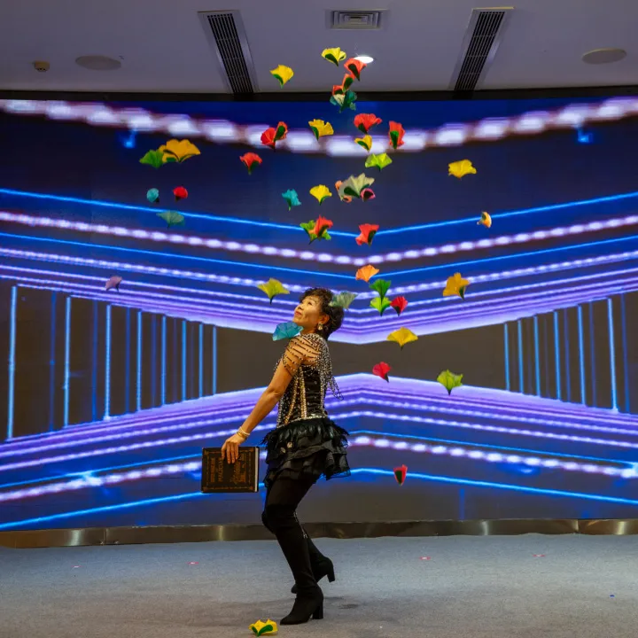 Rendimiento del programa