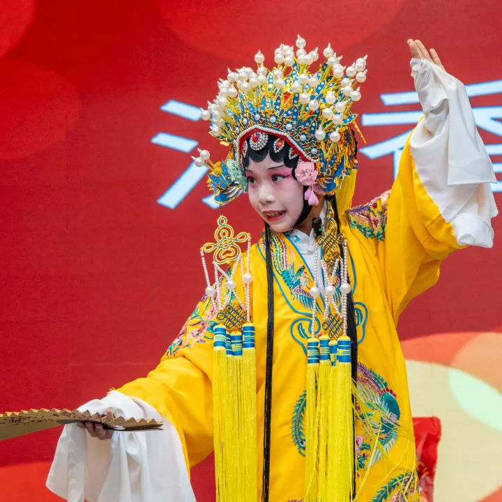 Rendimiento del programa