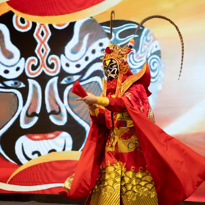 Rendimiento del programa